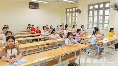 Hơn 600 học sinh làm bài kiểm tra năng lực vào lớp 6 Trường THCS Lê Quý Đôn