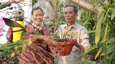 5 bí quyết giúp người cao tuổi luôn lạc quan