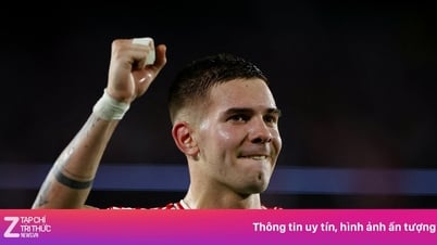 Real Madrid hoàn tất phi vụ 46 triệu euro
