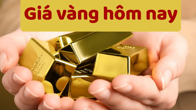 Giá vàng hôm nay 7/6/2025: Giá vàng trong nước cao hơn vàng thế giới 8,36 triệu đồng