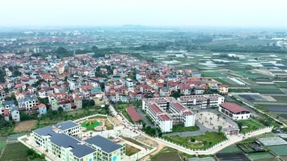 Tin tức đặc biệt trên báo in Hànộimới ngày 7-6-2025