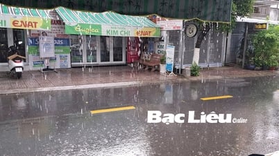Cảnh báo mưa lớn gây ngập úng trên địa bàn tỉnh Bạc Liêu