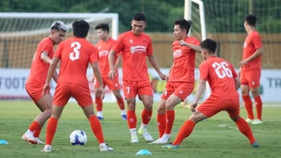 Tư thế nhà vô địch khu vực