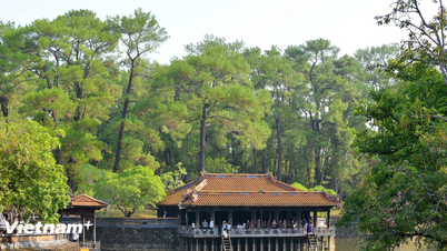 Developing Green and Sustainable Tourism: Directions from the Nara Prefecture Model of Japan