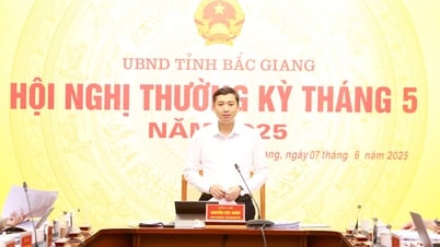 Tập trung cao thực hiện nhiệm vụ phát triển kinh tế -xã hội, đẩy mạnh tiêu thụ vải thiều