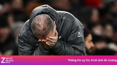 El Tottenham despide al entrenador Postecoglou