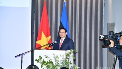 Tăng cường kết nối mạnh mẽ cộng đồng doanh nghiệp Việt Nam và Estonia