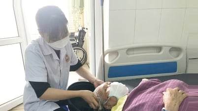 Để thanh niên vững vàng lập thân, lập nghiệp