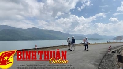 EVN代表団がダニム・ハムトゥアン・ダーミ水力発電株式会社の水力発電ダムの安全管理を視察