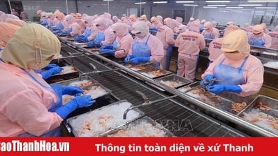 USA geben vorläufige Ergebnisse zur Antidumpingsteuer auf vietnamesische Garnelen bekannt