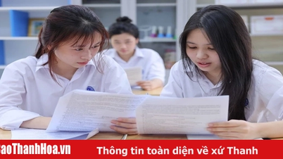 Thủ tướng: Ưu tiên bố trí ngân sách bảo đảm tổ chức dạy học 2 buổi mỗi ngày