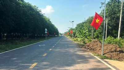 Tan Thanh Commune: Installing solar lights to light up the countryside roads