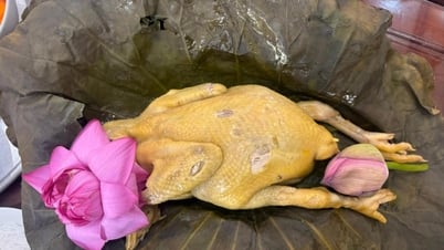 Về Chí Linh thưởng thức gà hấp lá sen thảo quả