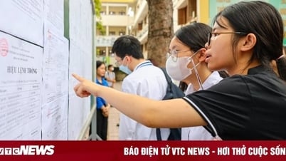 Đề tiếng Anh thi vào lớp 10 Hà Nội 2025