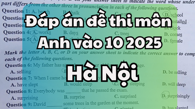 Đáp án đề thi tuyển sinh lớp 10 môn Tiếng Anh tại Hà Nội 2025