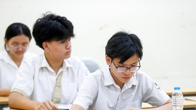Đáp án tham khảo môn Toán thi vào lớp 10 tại TPHCM năm 2025