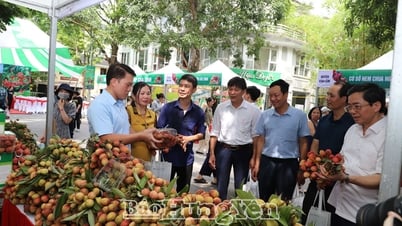Inauguración de la Feria de Telas Hung Yen 2025