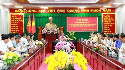 Ban Thường vụ Tỉnh ủy cho ý kiến các tờ trình chuẩn bị trình Kỳ họp thứ 24