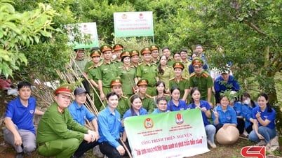 โครงการการกุศล “การฟื้นฟูป่าเพื่อเวียดนามที่เขียวขจีและยั่งยืน”