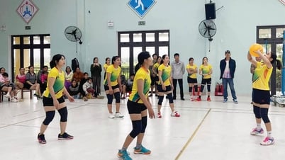 Khỏe hơn, đẹp hơn...