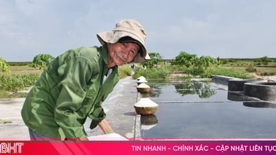 Đến năm 2025, Hà Tĩnh sản xuất 12 nghìn tấn muối: Nhiệm vụ bất khả thi!