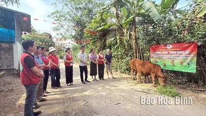 Tạo sinh kế bền vững từ chương trình “Ngân hàng bò”
