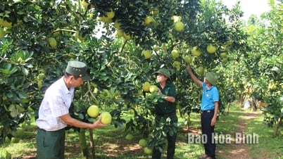Hiệu quả chương trình giảm nghèo bền vững tại huyện Yên Thuỷ