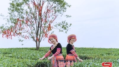 Mộc Châu - điểm đến lý tưởng dịp hè