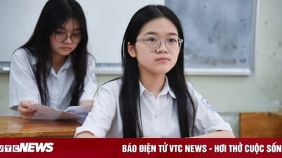 Đáp án môn tiếng Anh thi vào lớp 10 Hà Nội 2025 