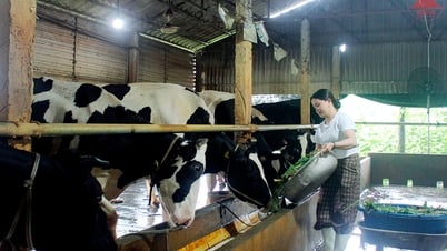 Giỏi làm kinh tế, nhiệt tình việc thôn