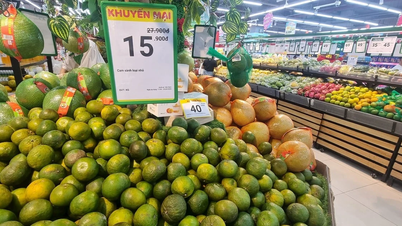 Entwicklung ökologischer Agrarprodukte: Eine unvermeidliche Richtung