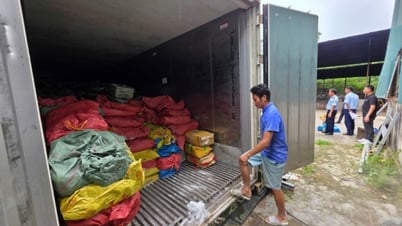 Móng Cái: Tăng 96% trị giá hàng hóa vi phạm bị bắt giữ, xử lý