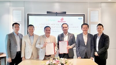 Menas Group và Đồng Tâm Group ký kết thoả thuận hợp tác
