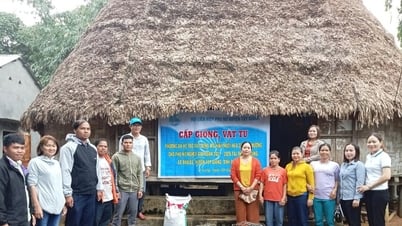 Tây Giang thoát nghèo bền vững từ đa dạng sinh kế