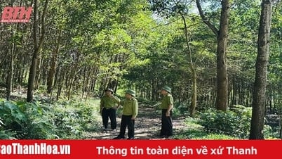 Như Thanh chủ động giữ rừng mùa nắng nóng