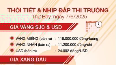 Thời tiết & nhịp đập thị trường 7/6