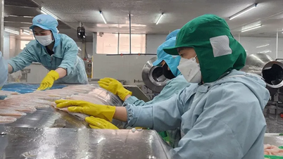Phấn đấu khu vực kinh tế tư nhân đóng góp khoảng 55-60% GRDP vào năm 2030