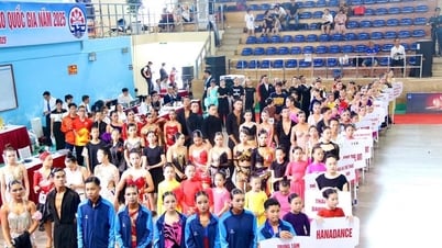 Près de 800 athlètes participent au Championnat national des clubs de danse sportive