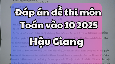 Đáp án đề thi tuyển sinh lớp 10 môn Ngữ Văn tỉnh Hậu Giang 2025
