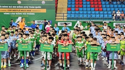 Mehr als 400 junge Spieler nehmen am nationalen Kinderfußballturnier teil