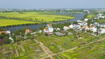 Làng rau Trà Quế ra mắt bộ nhận diện thương hiệu mới