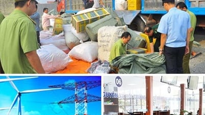 Chỉ đạo, điều hành của Chính phủ, Thủ tướng Chính phủ nổi bật tuần từ 31/5 - 6/6/2025