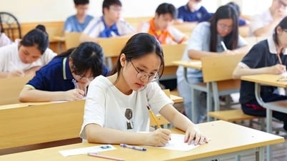 10학년 문학 시험에 대해 교사와 학생들은 무엇이라고 말합니까?