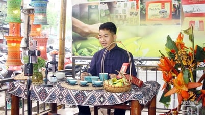 Hợp tác xã và mô hình phòng livestream chuyên nghiệp