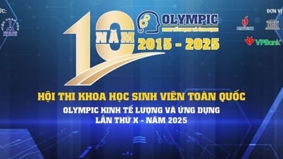 Hội thi Olympic Kinh tế lượng và ứng dụng: 10 năm kiến tạo nhân lực số cho kỷ nguyên mới