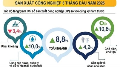 Công nghiệp phục hồi mạnh, xuất nhập khẩu tăng trưởng ấn tượng