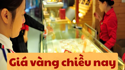Giá vàng chiều nay 7/6/2025: Giá vàng trong nước và vàng thế giới giảm nhẹ sau báo cáo kinh tế quan trọng