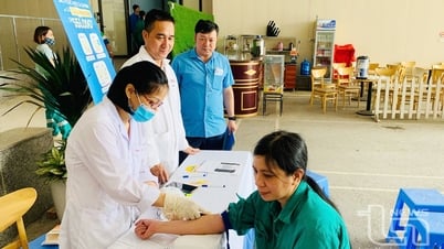 Khám sức khỏe định kỳ: 'Chìa khóa' bảo vệ công nhân