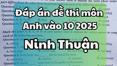 Đáp án đề thi tuyển sinh lớp 10 môn Tiếng Anh tỉnh Ninh Thuận 2025