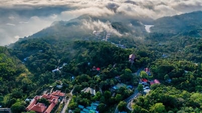 La montagne Cam deviendra plus stratégique à mesure que An Giang s'étendra